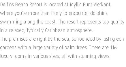 Delfins Beach Resort is located at idyllic Punt Vierkant, where you’re more than likely to encounter dolphins swimming along the coast. The resort represents top quality in a relaxed, typically Caribbean atmosphere. The premises are right by the sea, surrounded by lush green gardens with a large variety of palm trees. There are 116 luxury rooms in various sizes, all with stunning views. 