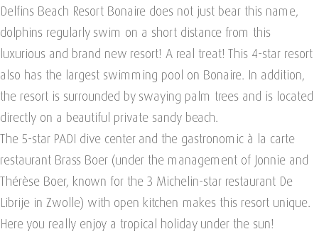 Delfins Beach Resort Bonaire does not just bear this name, dolphins regularly swim on a short distance from this luxurious and brand new resort! A real treat! This 4-star resort also has the largest swimming pool on Bonaire. In addition, the resort is surrounded by swaying palm trees and is located directly on a beautiful private sandy beach. The 5-star PADI dive center and the gastronomic à la carte restaurant Brass Boer (under the management of Jonnie and Thérèse Boer, known for the 3 Michelin-star restaurant De Librije in Zwolle) with open kitchen makes this resort unique. Here you really enjoy a tropical holiday under the sun! 