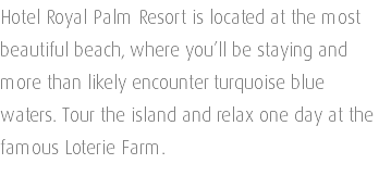 Hotel Royal Palm Resort is located at the most beautiful beach, where you’ll be staying and more than likely encounter turquoise blue waters. Tour the island and relax one day at the famous Loterie Farm. 